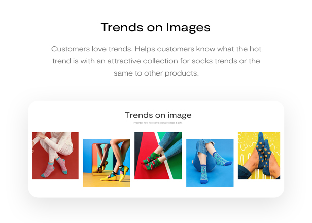 Funisox Fashion WooCommerce Theme Showcase images
